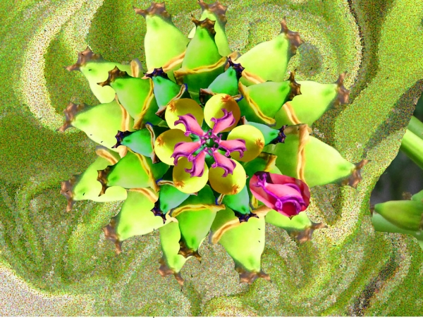 Creation of Butterfly Heaven: Step 8
